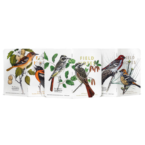 Field Notes, Birds & Trees of North America - Pack B - Grosbeak, Baltimore Oriole, Sulphurbelly. 3-Pack